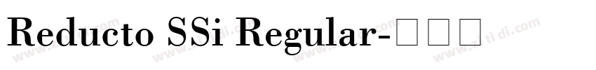 Reducto SSi Regular字体转换